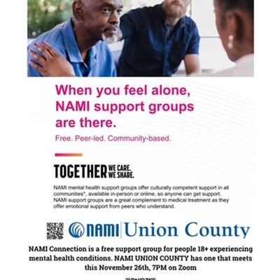 The NAMI Connection Recovery Support Group .